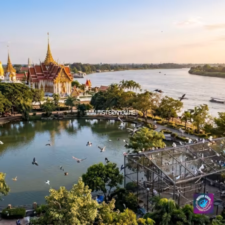 รับทำเว็บไซต์ธุรกิจสินค้าบริการในเขตพื้นที่ค้นหาชัยนาทติดหน้าแรก