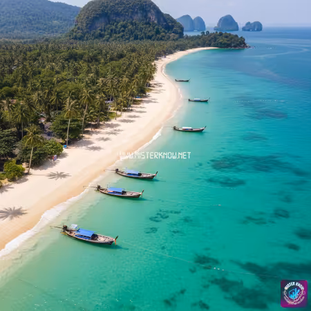 รับทำเว็บไซต์ธุรกิจสินค้าบริการในเขตพื้นที่ค้นหาตรังติดหน้าแรก